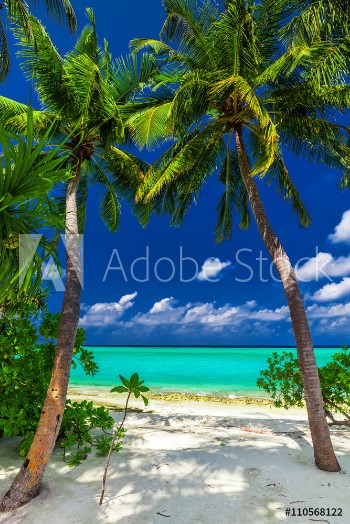 Picture of Two palm trees framing a beach entrance to tropical blue lagoon